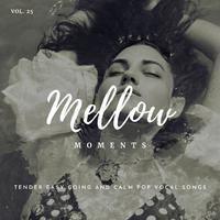 Mellow Moments - Tender Easy Going And Calm Pop Vocal Songs, Vol. 25