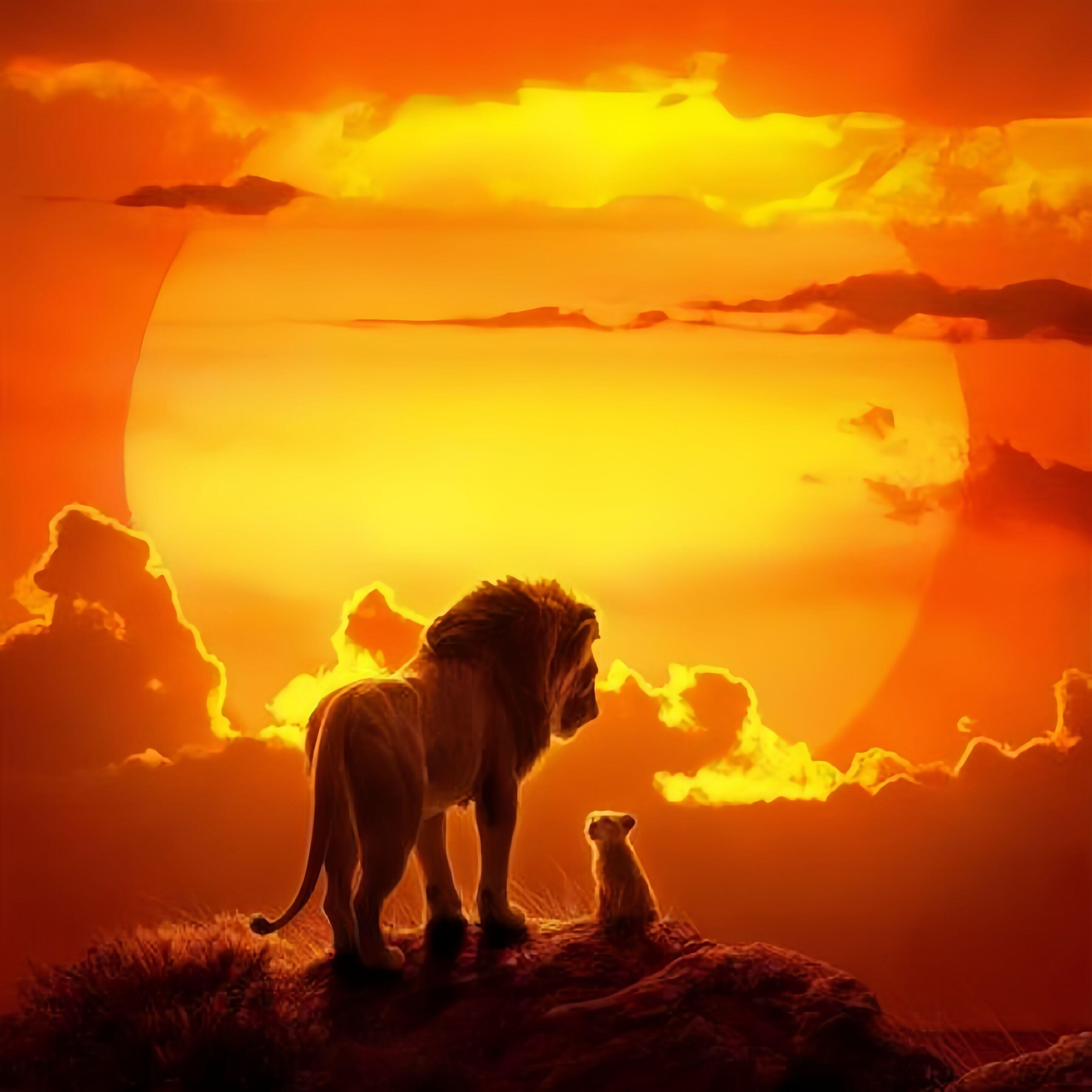 Can You Feel the Love Tonight (cover)