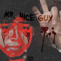 Mr. Nice Guy