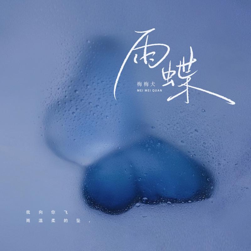雨蝶(DJ版) - 刘亦玫封面