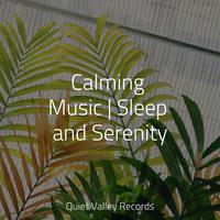 Calming Music | Sleep and Serenity