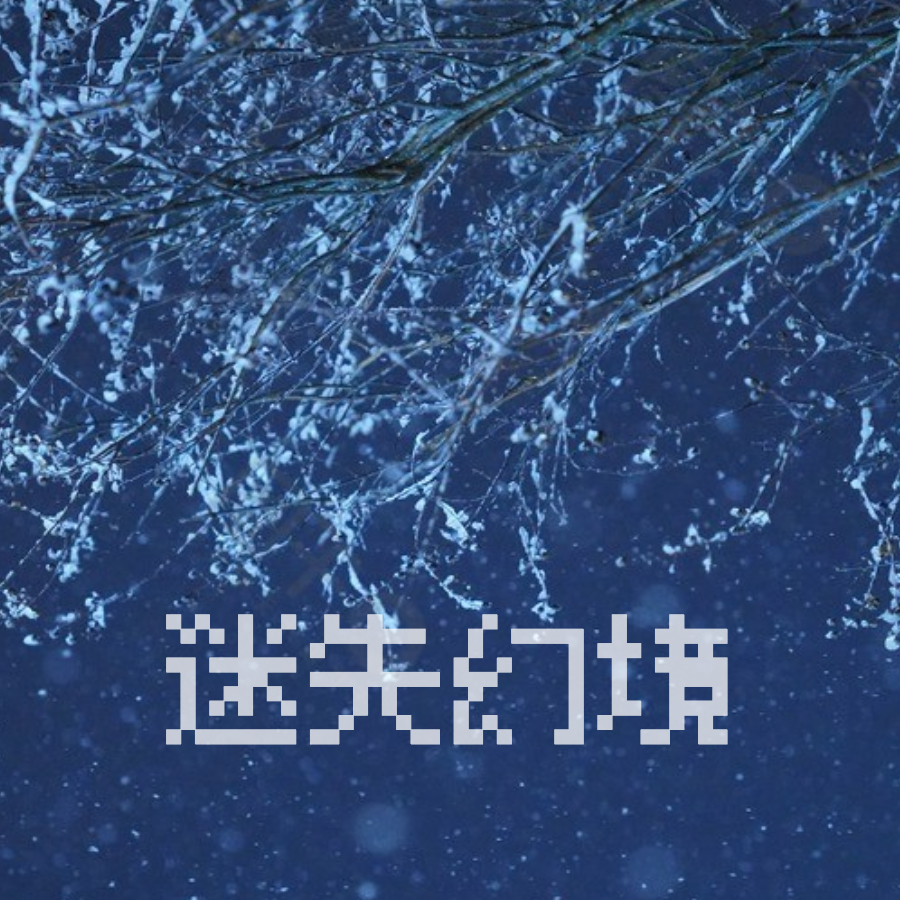 迷失幻境封面