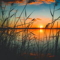 50 Ambient Songs for Relaxation & Vibes