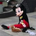 爱与不同