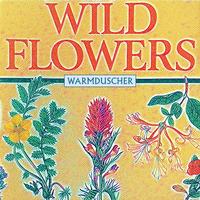 Wild Flowers (Radio Edit)