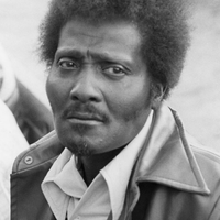 Albert Collins