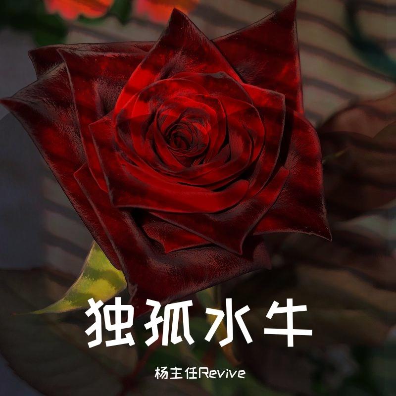 爵士怨曲封面