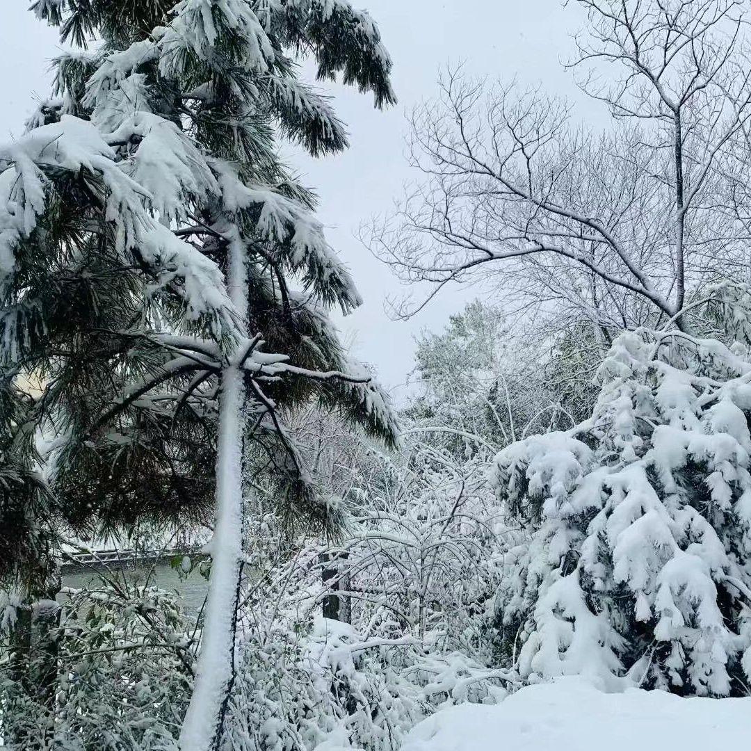 incredibox-a4c7824742066f176af8-v3-320kbps