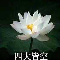 是无声w