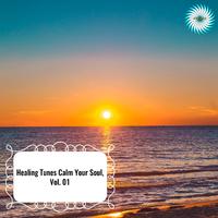 Healing Tunes Calm Your Soul, Vol. 01
