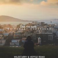 Like The Same(WildStarry & Veffge Remix)