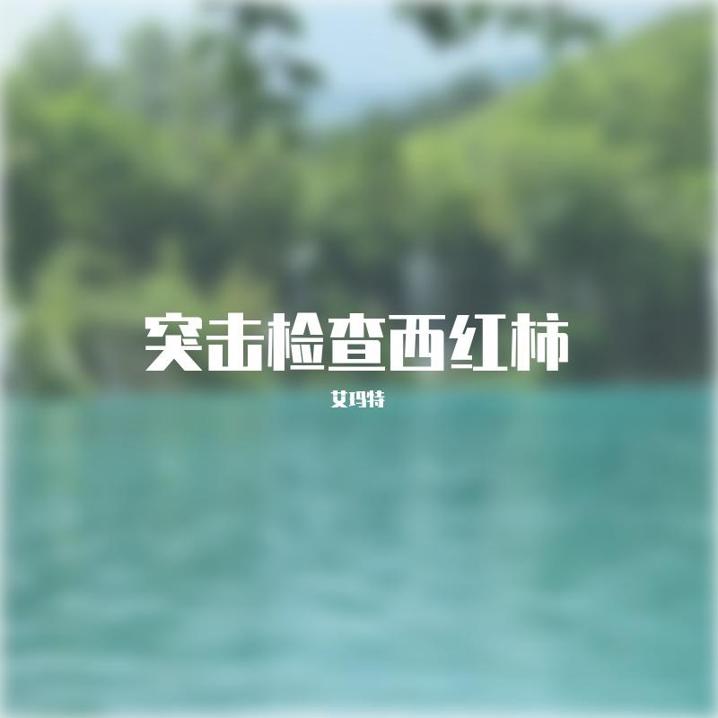 突击检查西红柿2封面