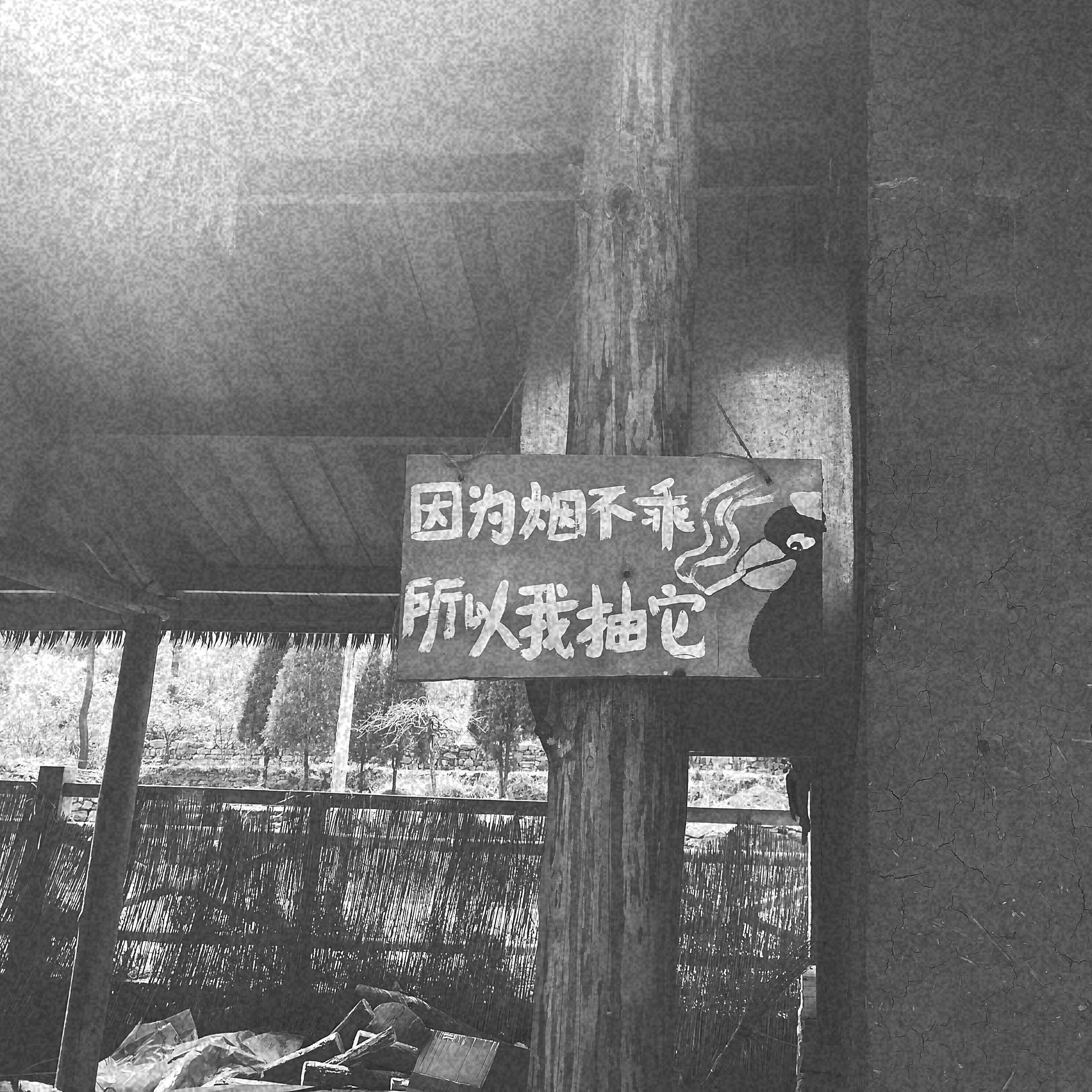 别哭了老尸封面