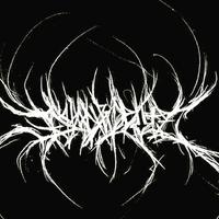 SHADXWEVIL资料,SHADXWEVIL最新歌曲,SHADXWEVILMV视频,SHADXWEVIL音乐专辑,SHADXWEVIL好听的歌
