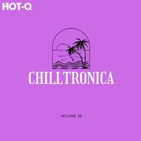 Chilltronica 036