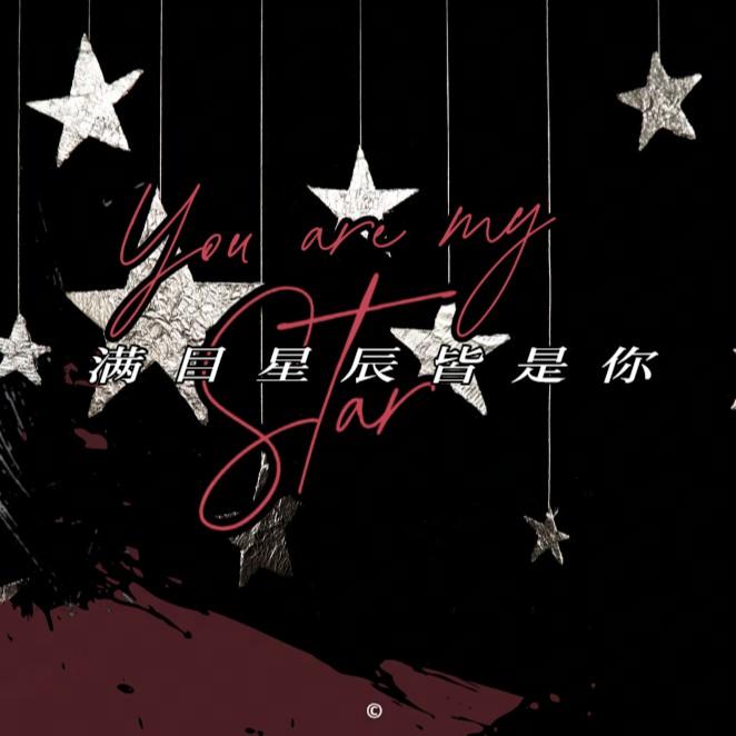 满目星辰皆是你