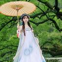 入画江南画中游，一眼人间惊鸿醉