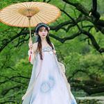 入画江南画中游，一眼人间惊鸿醉