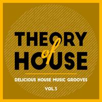 Theory of House (Delicious House Music Grooves), Vol. 3