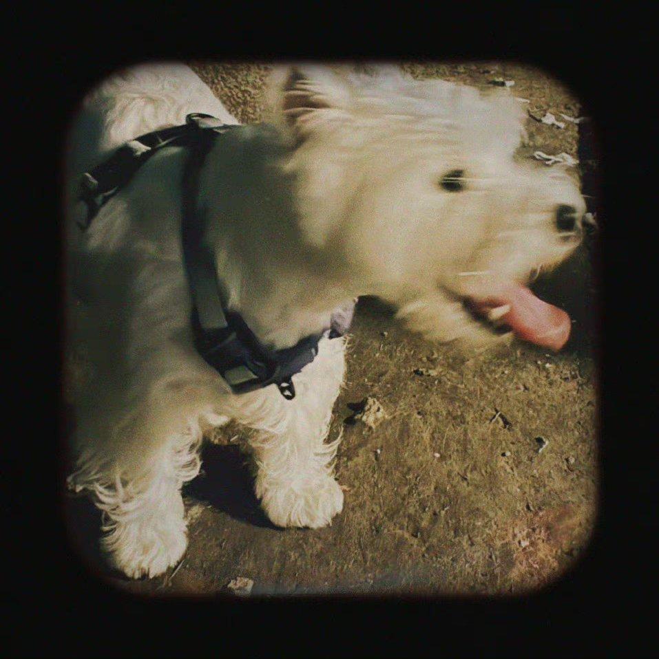 温柔代表作 大宽/尚东峰/郑逸帆/陈艺柳