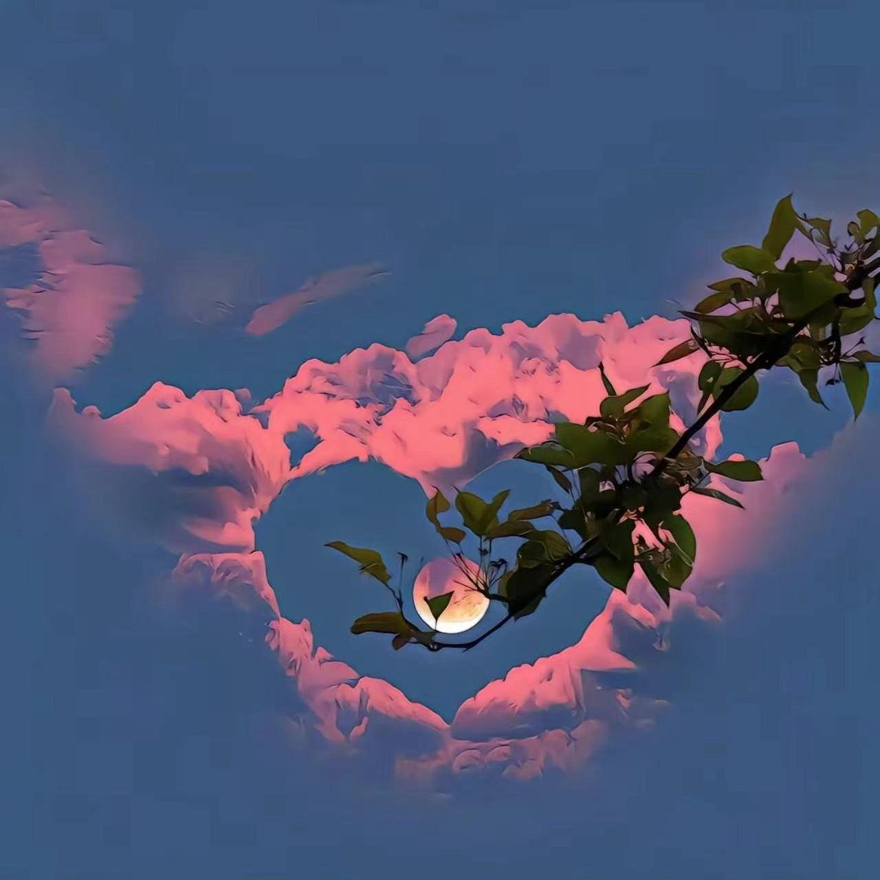 故湘,风封面