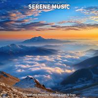 #01 Serene Music for Bedtime, Relaxing, Reading, Cats & Dogs