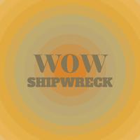 Wow Shipwreck