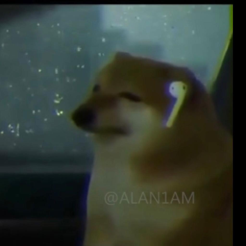 宫村宫子的一己之见