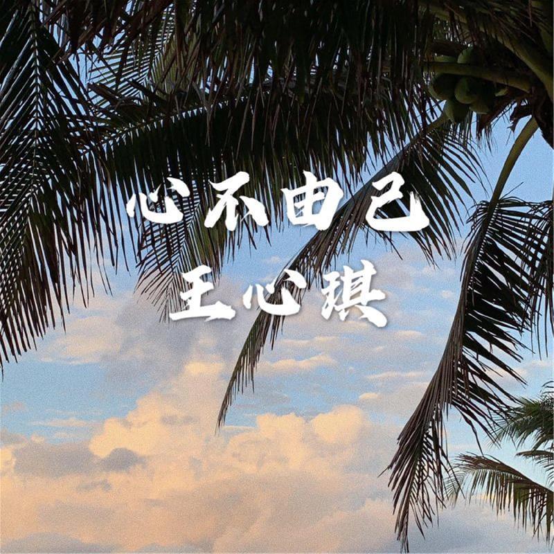 属于自己的天 - 王心琪封面