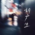 胡广生(DJ版)封面