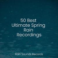 50 Best Ultimate Spring Rain Recordings