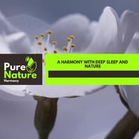 A Harmony With Deep Sleep And Nature