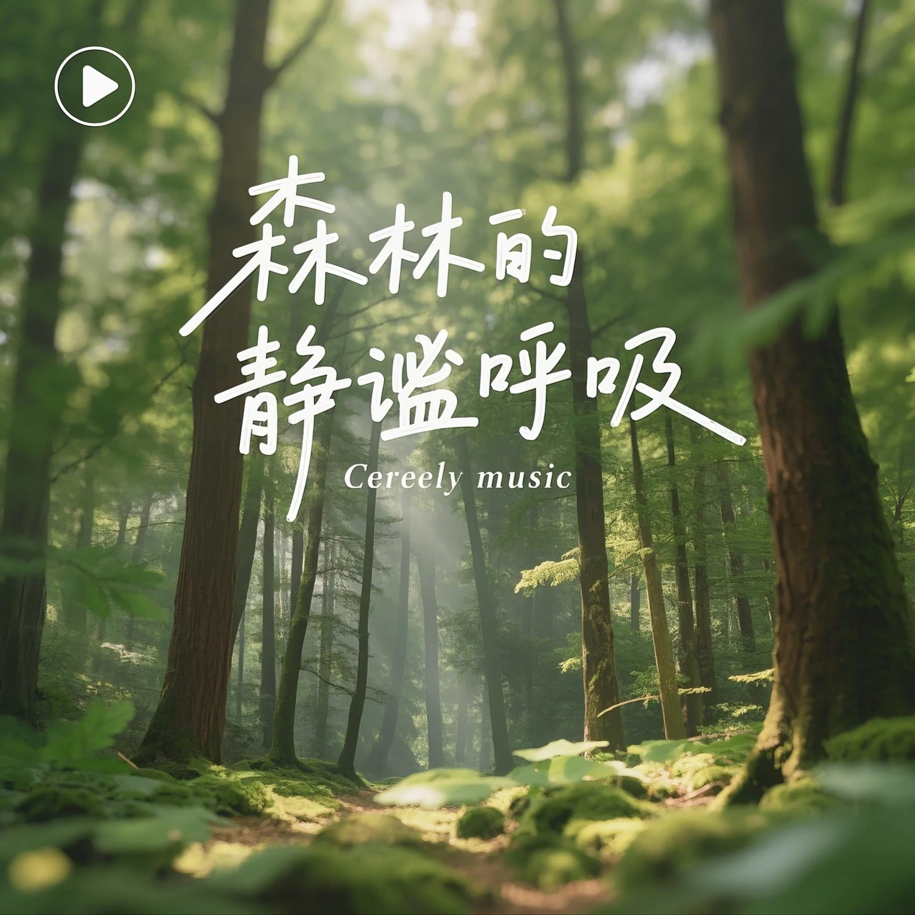 森林的静谧呼吸（原生态钢琴曲）封面