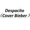 宋金励 - Despacito（Cover Justin Bieber）