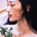 华语爵士 | 写在秋日晚风里的慵懒情绪