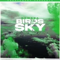 Birds In The Sky (Sam Green Remix)