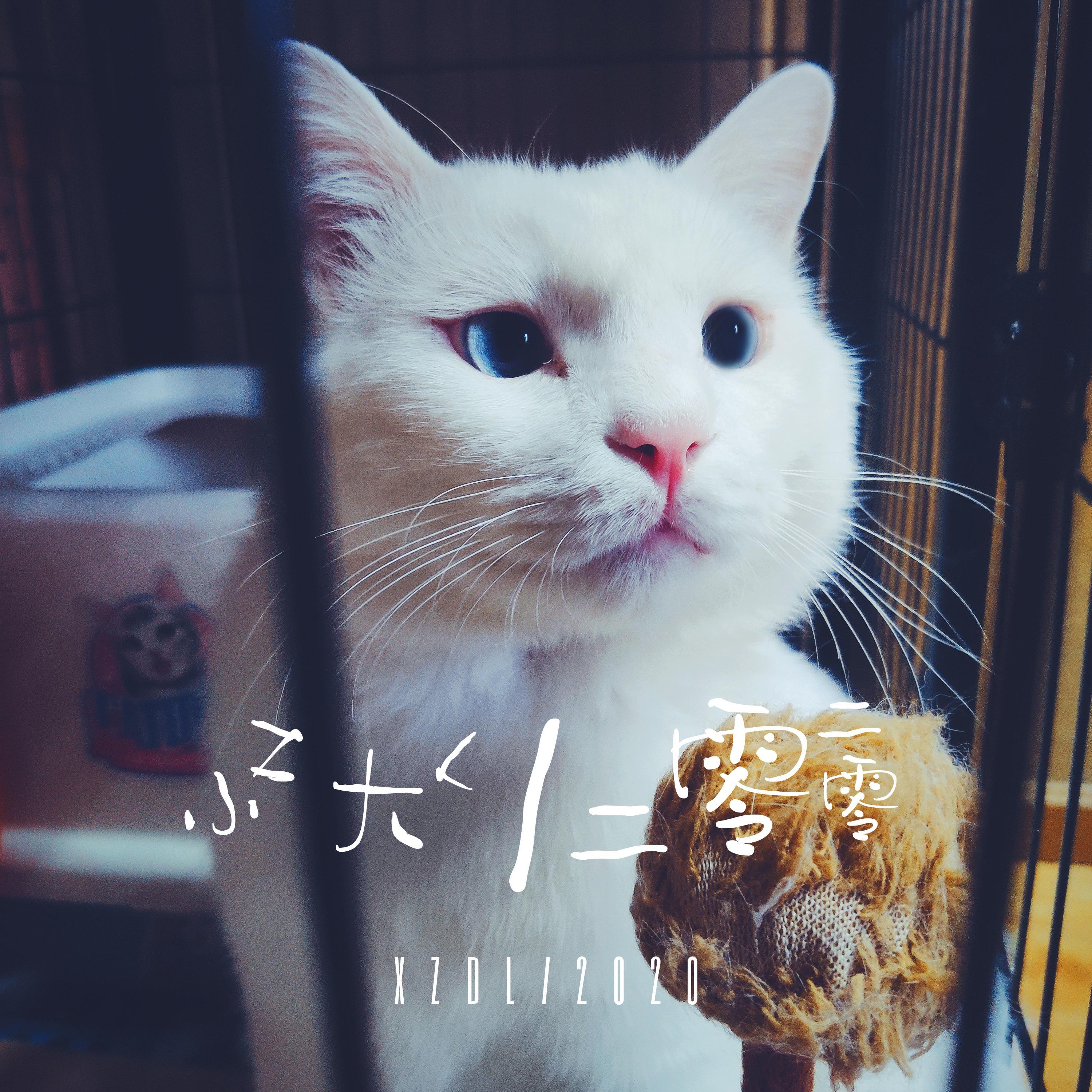 自然醒封面