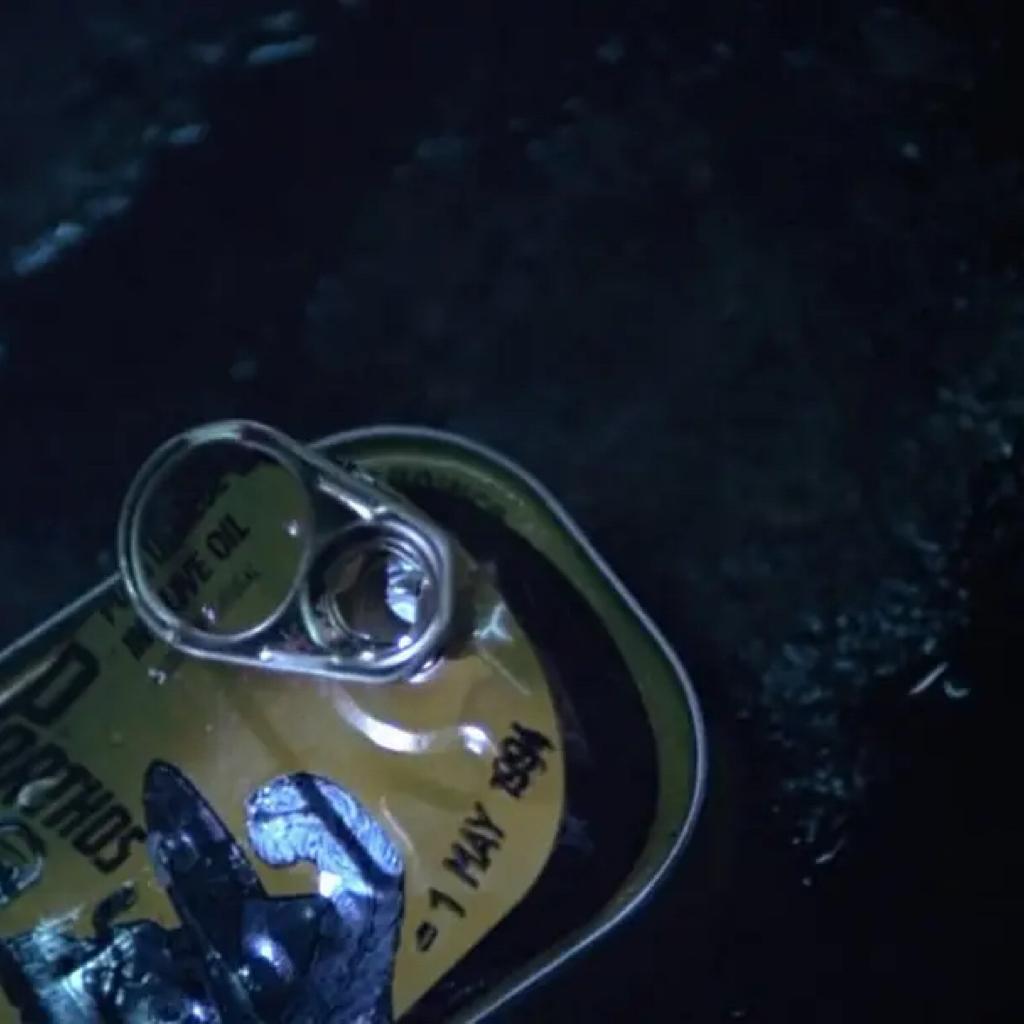 金城武的凤梨罐头不过期