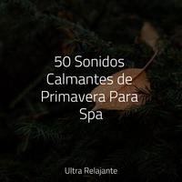 50 Sonidos Calmantes de Primavera Para Spa