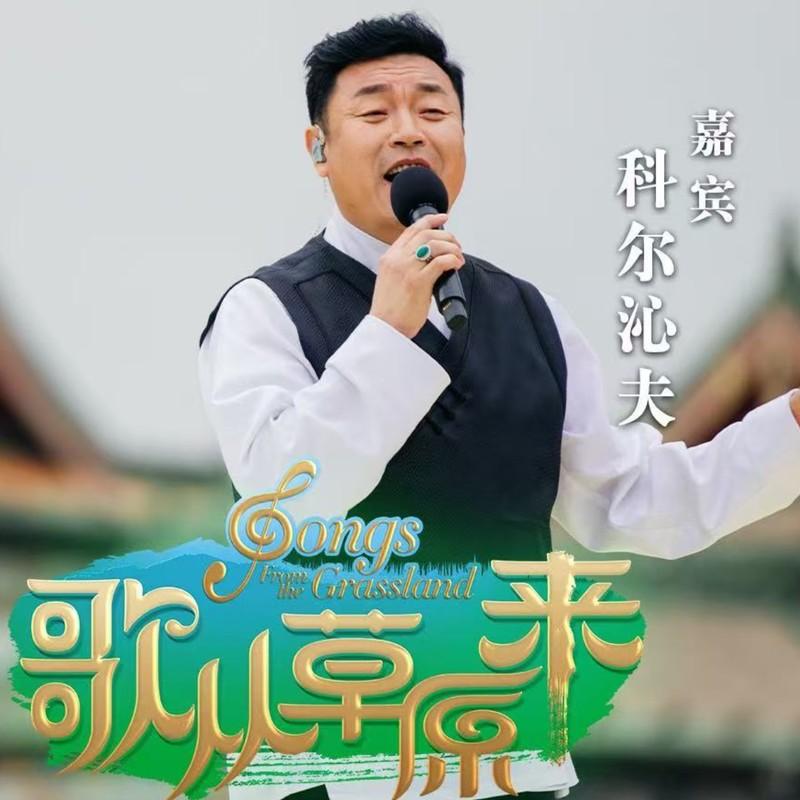 美丽的草原我的家 (致敬版)封面