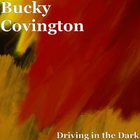 Driving in the Dark