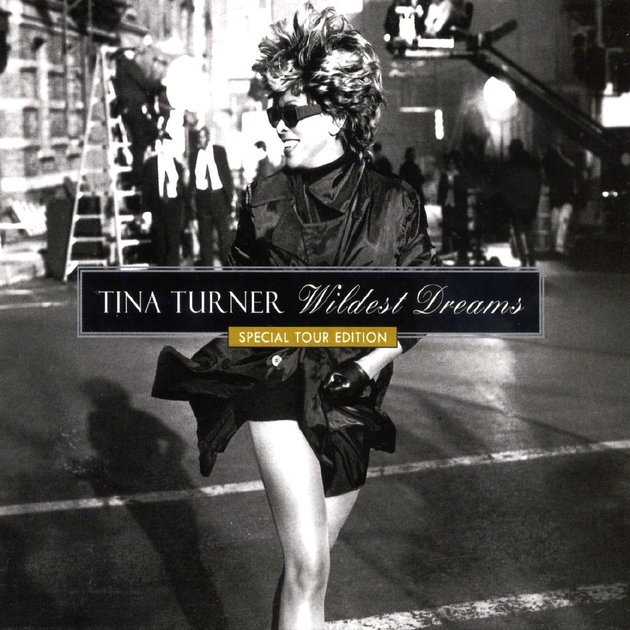 蒂娜·特纳Tina Turner 
