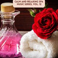 Calm and Relaxing Spa Music Series, Vol. 12