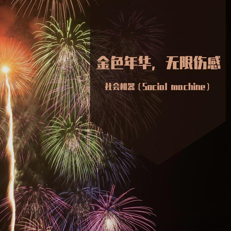 金色年华封面