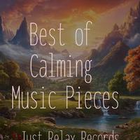 Best of Calming Music Pieces