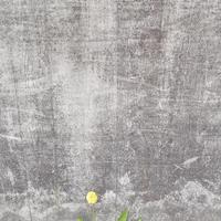 Looney Tuned资料,Looney Tuned最新歌曲,Looney TunedMV视频,Looney Tuned音乐专辑,Looney Tuned好听的歌