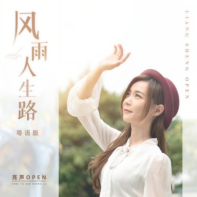 风雨人生路封面