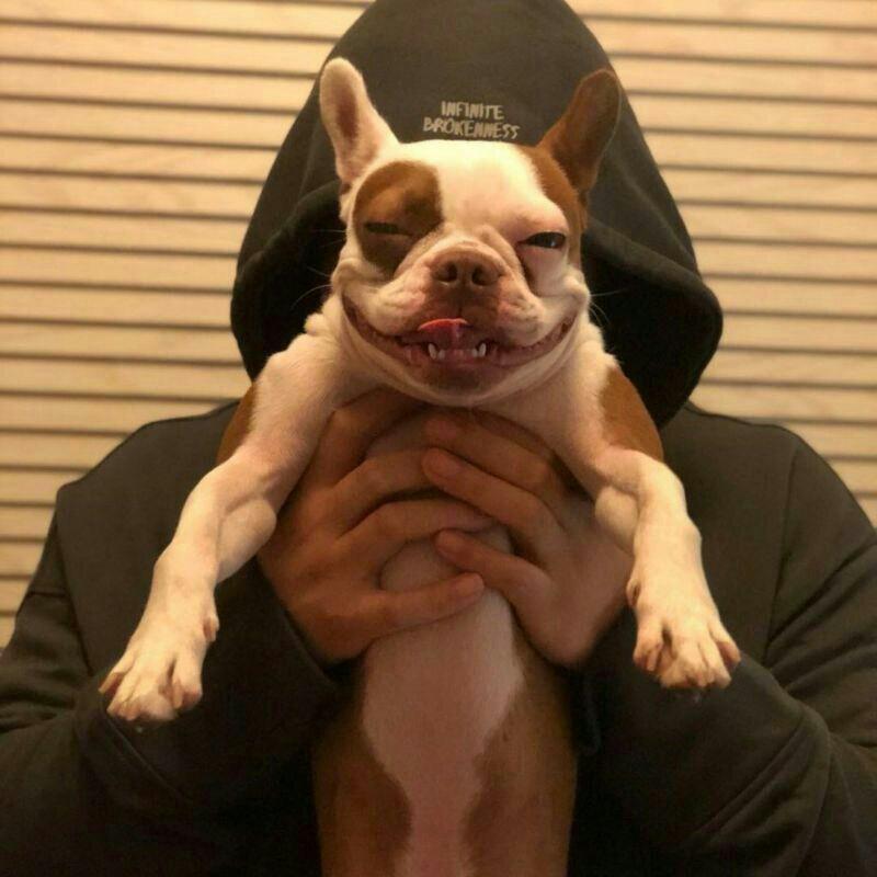 【张宇】我承认都是月亮惹的祸