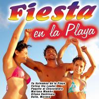 Fiesta en la Playa