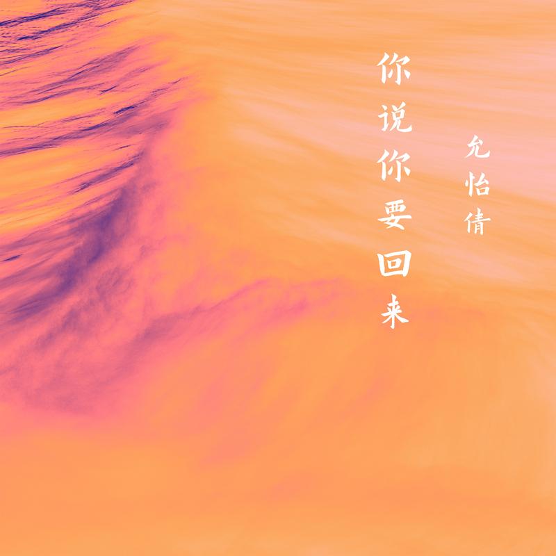 你说你要回来封面